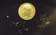 ak gold.webp