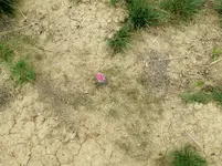 bike ride 060516 7.webp