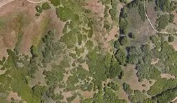 019 VV 1.webp