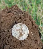 97 Barber Dime.webp