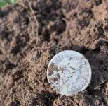 02 Barber Dime.webp