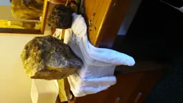 20160508_180335.webp