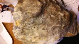 20160508_180342.webp