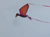 IMG_4071.webp IMG_4071.webp