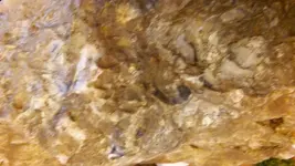 20160508_180515.webp