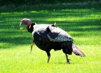 DSCN2389.webp