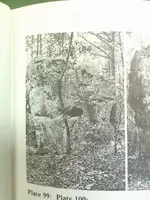 buffalo rock 1.webp