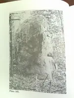 buffalo rock 3.webp