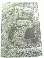 buffalo rock 4.webp