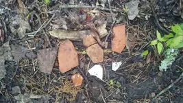 20160520_120137.webp