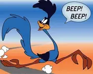 road runner.webp