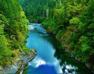 DSCN0475.webp