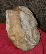 1463837854139.webp