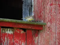 DSCN1023.webp
