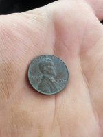 First wheat penny2 June 6th 2016.jpg