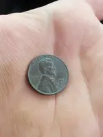 First wheat penny2 June 6th 2016.webp
