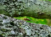 DSCN1731.webp