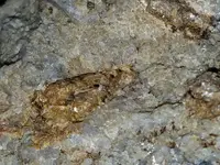 1463840779317.webp