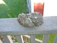 DSCF1618.webp