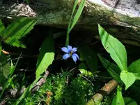 DSCN1738.webp