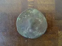 Intact shoe buckle 6 24 16 065.webp