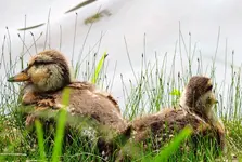 DSCN1758.webp