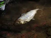 DSCN1765.webp