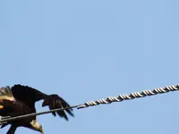 DSCN1709.webp