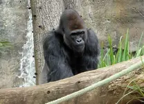 sd trip zoo 2.webp