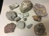 ImageUploadedByTreasureNet.com1465259850.375037.webp