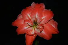DSC_0160a.webp