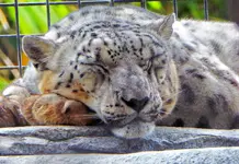 sd trip zoo 6.webp