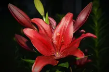 DSC_0166.webp