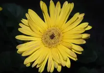 DSC_0168.webp