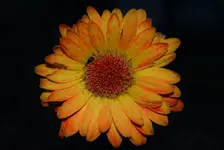 DSC_0169.webp