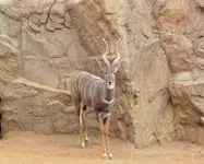 sd trip zoo 7.webp