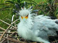 sd trip zoo 8.webp