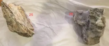 Rocks 2.webp