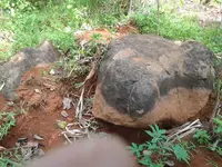 20160511_094715.webp