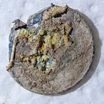ZSC_6693_1500Sq.webp