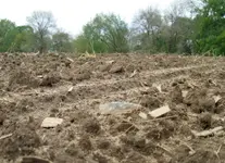 #280 in situ yet again resized.webp