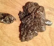 ImageUploadedByTreasureNet.com1462891095.338561.webp