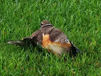 K1600_DSCN2143.webp