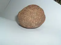 DSCF1952.webp
