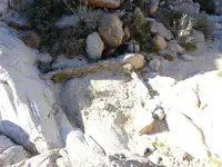 P1000241.webp P1000241.webp
