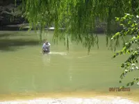 001.webp