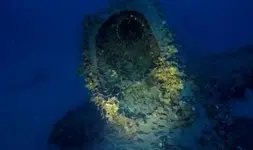 HMS-P311-1.webp