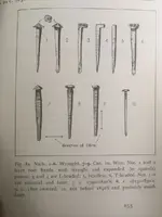 ImageUploadedByTreasureNet.com1463354016.485766.webp