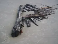 100_0237.webp 100_0237.webp