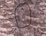 cropSUPERSTITION%20MOUNTAINS%20024.webp